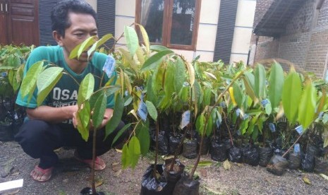2018, Kementan Salurkan 952.952 Benih Berkualitas
